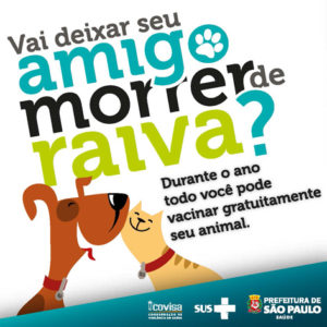 Vacinação de cães e gatos gratuita em São Paulo!