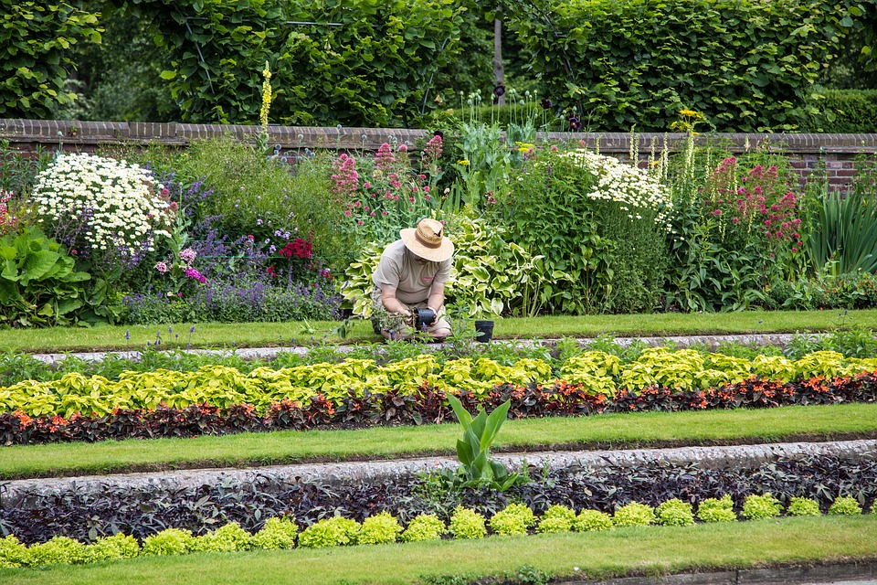 Jardinagem para Iniciantes - 6 cursos online e com certificado