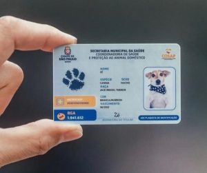 Faça o RGA - documento de identidade do seu PET - Gratuito para cães e gatos de São Paulo.